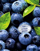 Сочный блокнот.Черника (на метал.пленке