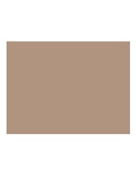 Бумага для пастели 50*65 "Mi-Teintes" 160г/м2 №350 золотисто-розовый, Canson