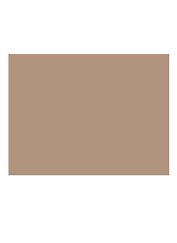 Бумага для пастели 50*65 "Mi-Teintes" 160г/м2 №350 золотисто-розовый, Canson