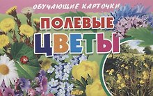 Обучающие карточки "Полевые цветы"