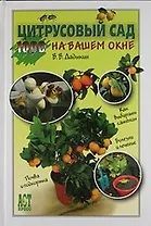 Цитрусовый сад на вашем окне