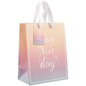 Пакет А5 23*18*10 Have A Nice Day нейтр., бум.мат.ламинат