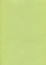 SADIPAL Картон А4 лайм 07920