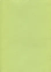 SADIPAL Картон А4 лайм 07920