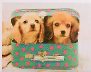 Алмазная мозаика ТМ Рыжий кот (класс.) 40х50см (28цв.) Милые щенки AC4064