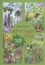 Круглый год