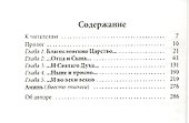 Незавершенная Литургия. Православный роман - 1