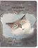 Тетрадь в клетку Знаковые сувениры, "Чувиляева. Кот Арсений и двор-колодец", 48 листов - 0