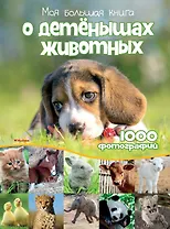 Моя большая книга о детенышах животных