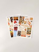Набор стикеров «Коллаж Нежный. Осень 2.0», 3 листа, Remarklee - 1