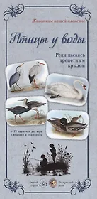 Птицы у воды. Реки касаясь трепетным крылом