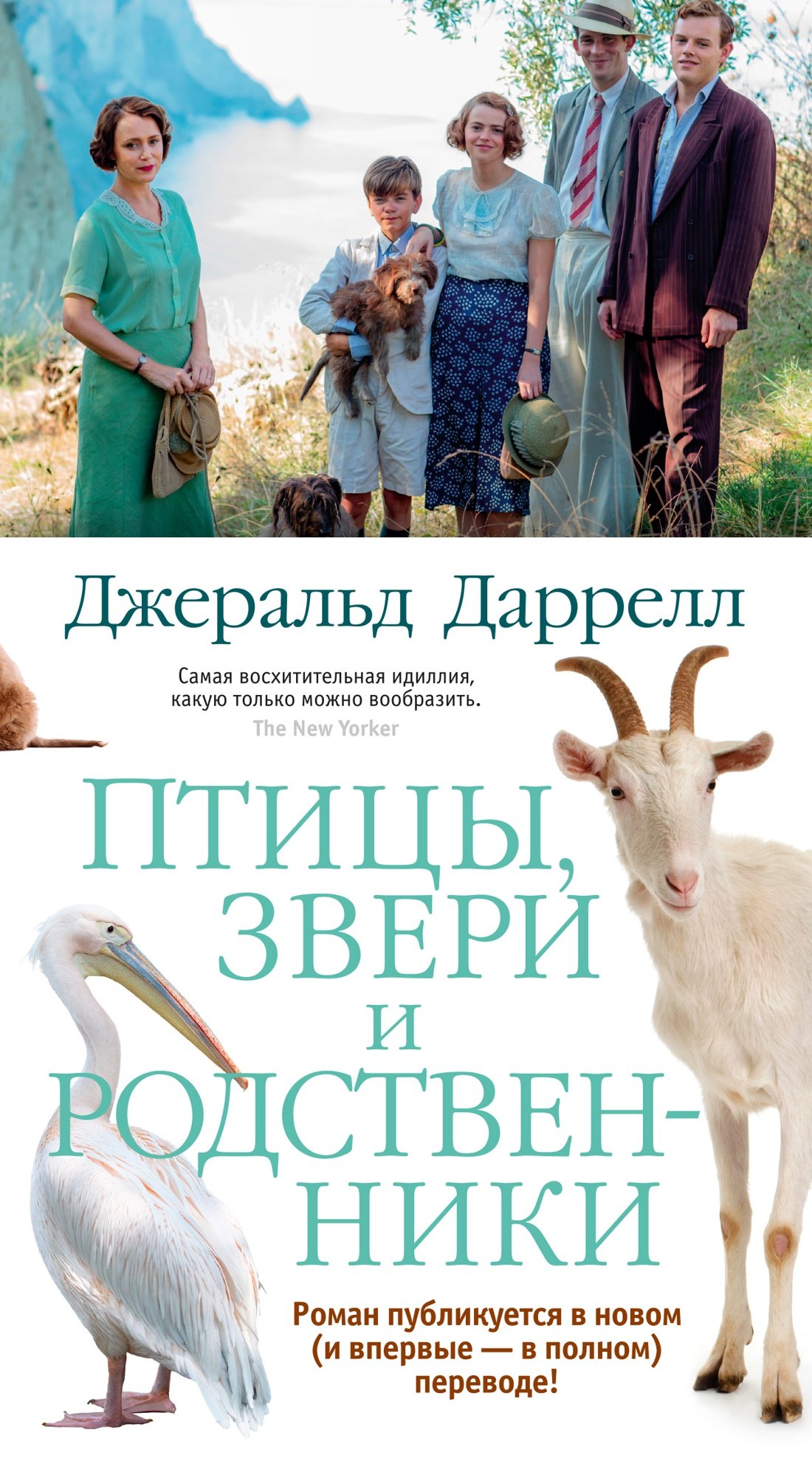 

Птицы, звери и родственники