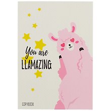 Тетрадь общая «Joy of life. You are Llamazing», 40 листов в линейку, А5 - Unnika