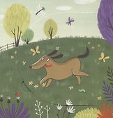 Книжки с загадками. Кто живет на ферме? - 2