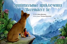 Удивительные приключения Маленького Бо