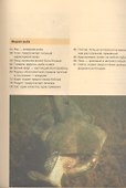 Современные приманки и прикормки. Иллюстрированный справочник - 2