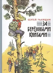 За березовыми книгами : повесть