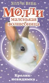 Кролик-невидимка : повесть