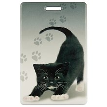Чехол для карточек Черный котенок