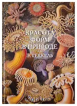 Красота форм в природе. Э. Геккель