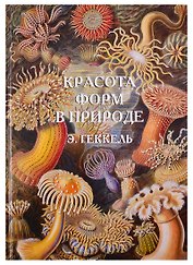 Красота форм в природе. Э. Геккель