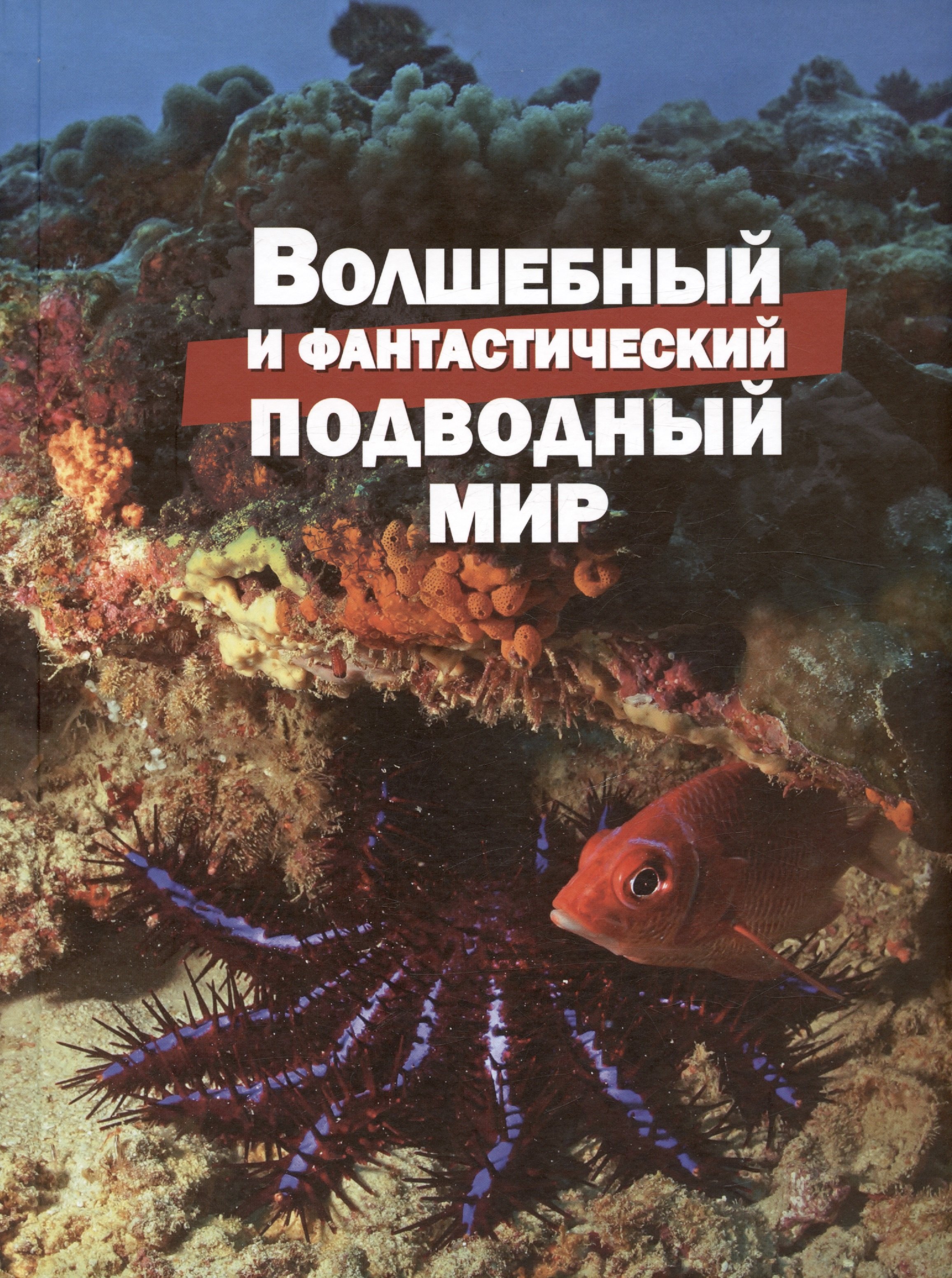 

Волшебный и фантастический подводный мир