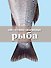 Книга Гастронома для начинающих. Рыба. - 0