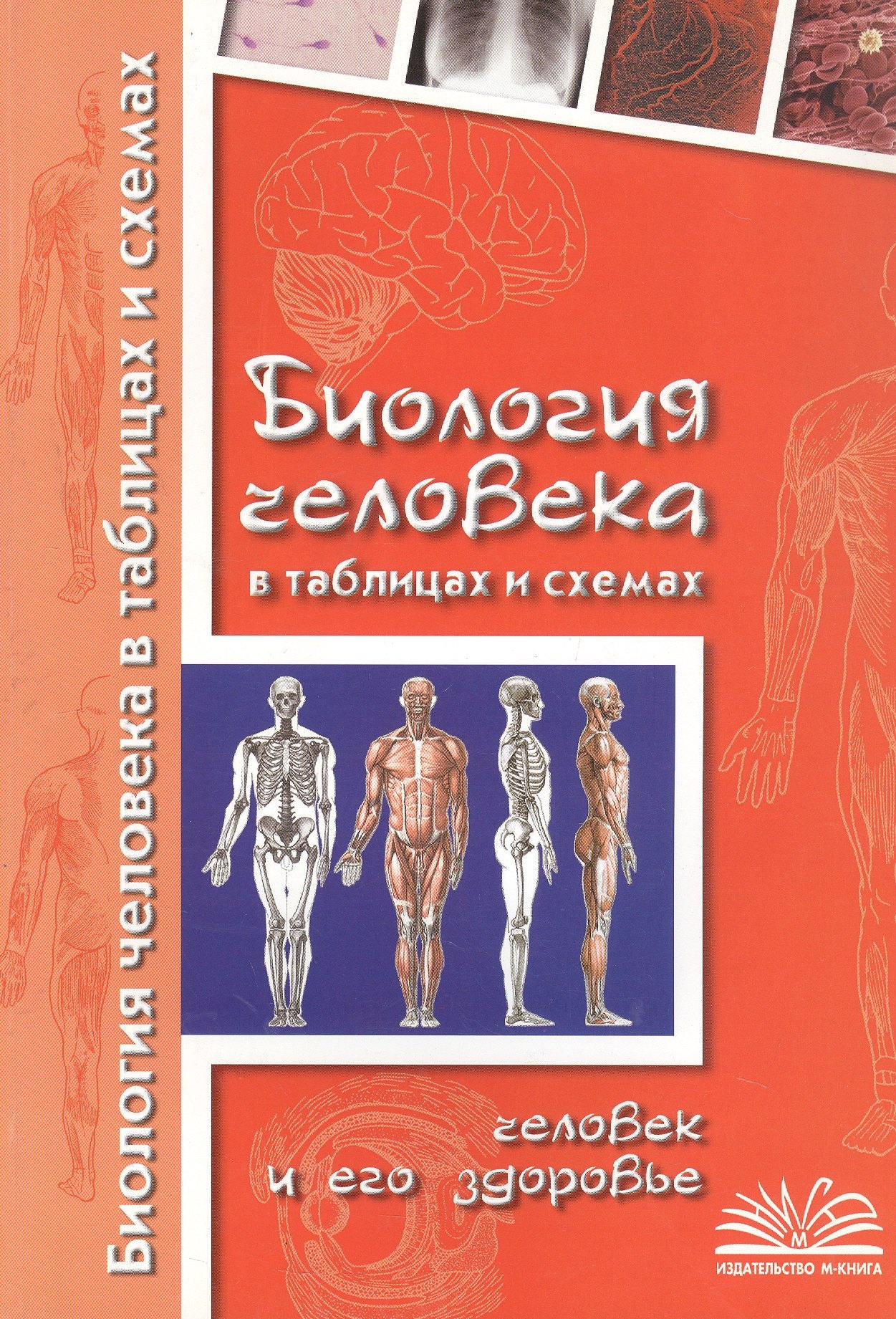 

Биология человека в таблицах и схемах. Человек и его здоровье