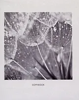 Тетрадь в клетку Listoff, Mono Flowers, 96 листов, в ассортименте