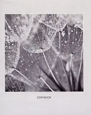 Тетрадь в клетку Listoff, Mono Flowers, 96 листов, в ассортименте