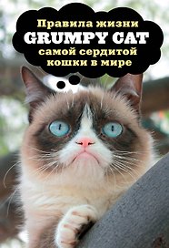 Grumpy Cat. Правила жизни самой сердитой кошки в мире