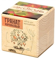 Набор для опытов и экспериментов Набор для выращивания Экокуб Гранат карликовый