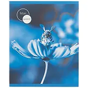 Тетрадь в клетку Listoff, "Нежные цветы", 48 листов, в ассортименте