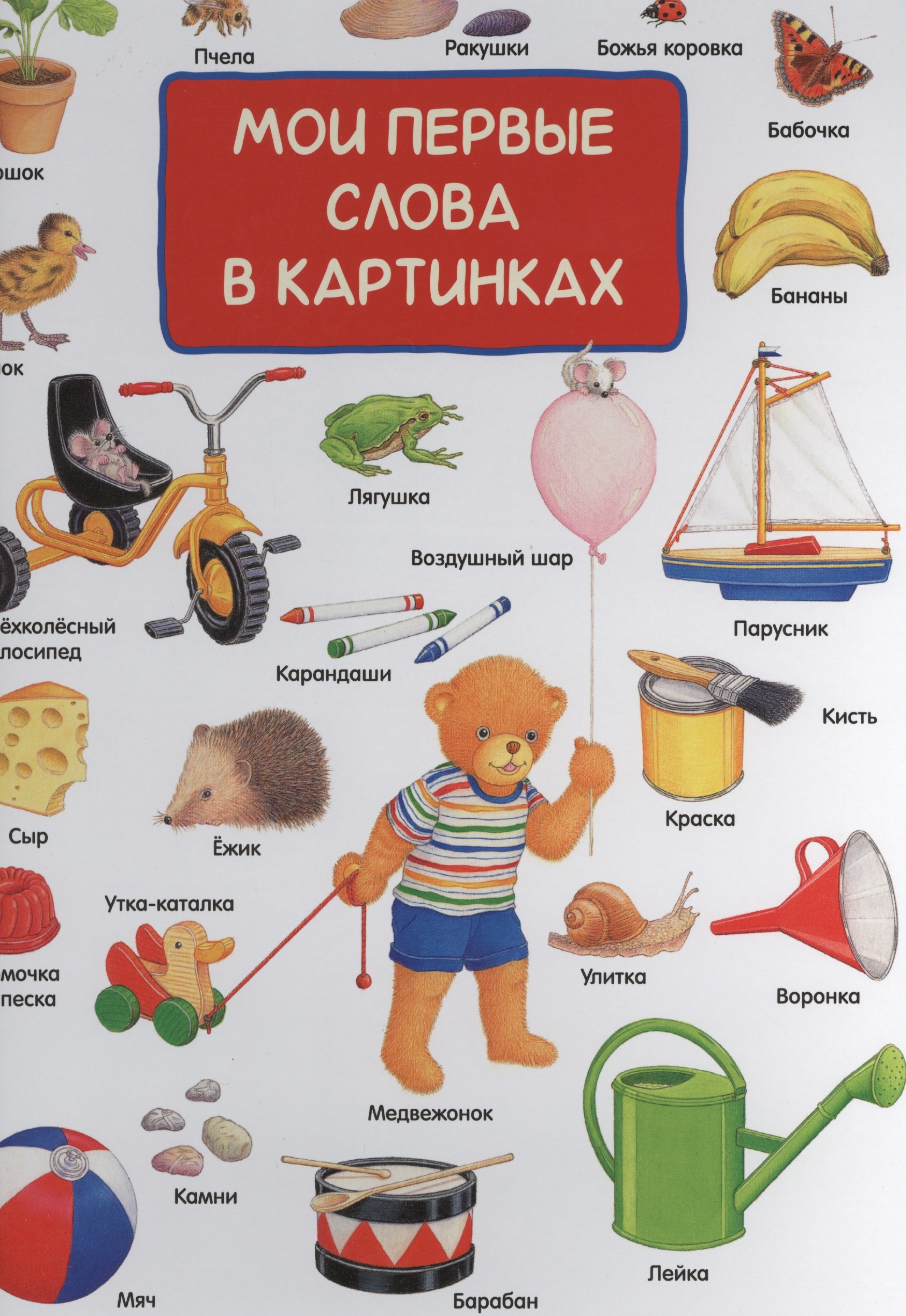 

Мои первые слова в картинках