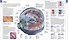 Human Anatomy - 1