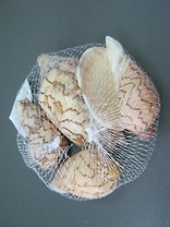 Набор ракушек (150гр) (554410) (сетка)