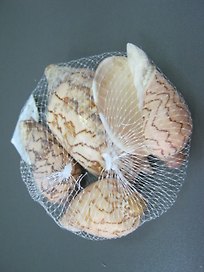 Набор ракушек (150гр) (554410) (сетка)
