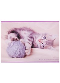 Альбом для рисования Unnika, "Котенок и клубок", А4, 20 листов