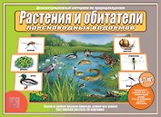 Растения и обитатели пресноводных водоемов. 4-7 лет. Демонстрационные материалы по природоведению