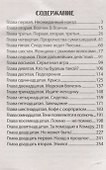 Игра по чужим правилам - 1