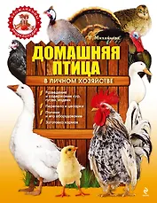 Домашняя птица в личном хозяйстве