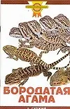Зол.сов.Бородатая агама