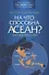 На что способна АСЕАН? Взгляд изнутри - 0