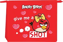 Папка для тетрадей «Angry Birds» А5, пластик, на молнии, 1 отделение