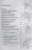 Виноград.Выращивание в средней полосе России.Выбор сорта.Посадка и уход.Подготовка к зиме - 1