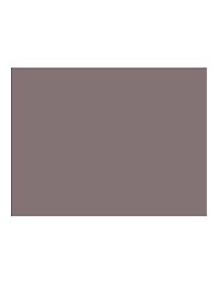 Бумага для пастели 50*65 "Mi-Teintes" 160г/м2 №503 винный, Canson