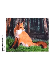 Картина по номера на холсте ТМ LORI "Лесной житель" 40х50см