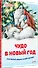 Чудо в Новый год: как Белый Мишка нашёл друзей - 1