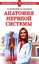 Анатомия нервной системы