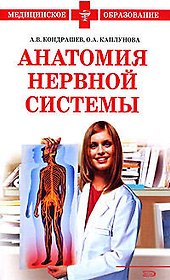 Анатомия нервной системы